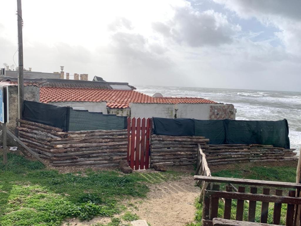 Anzio A Picco Sul Mare! 아파트 외부 사진